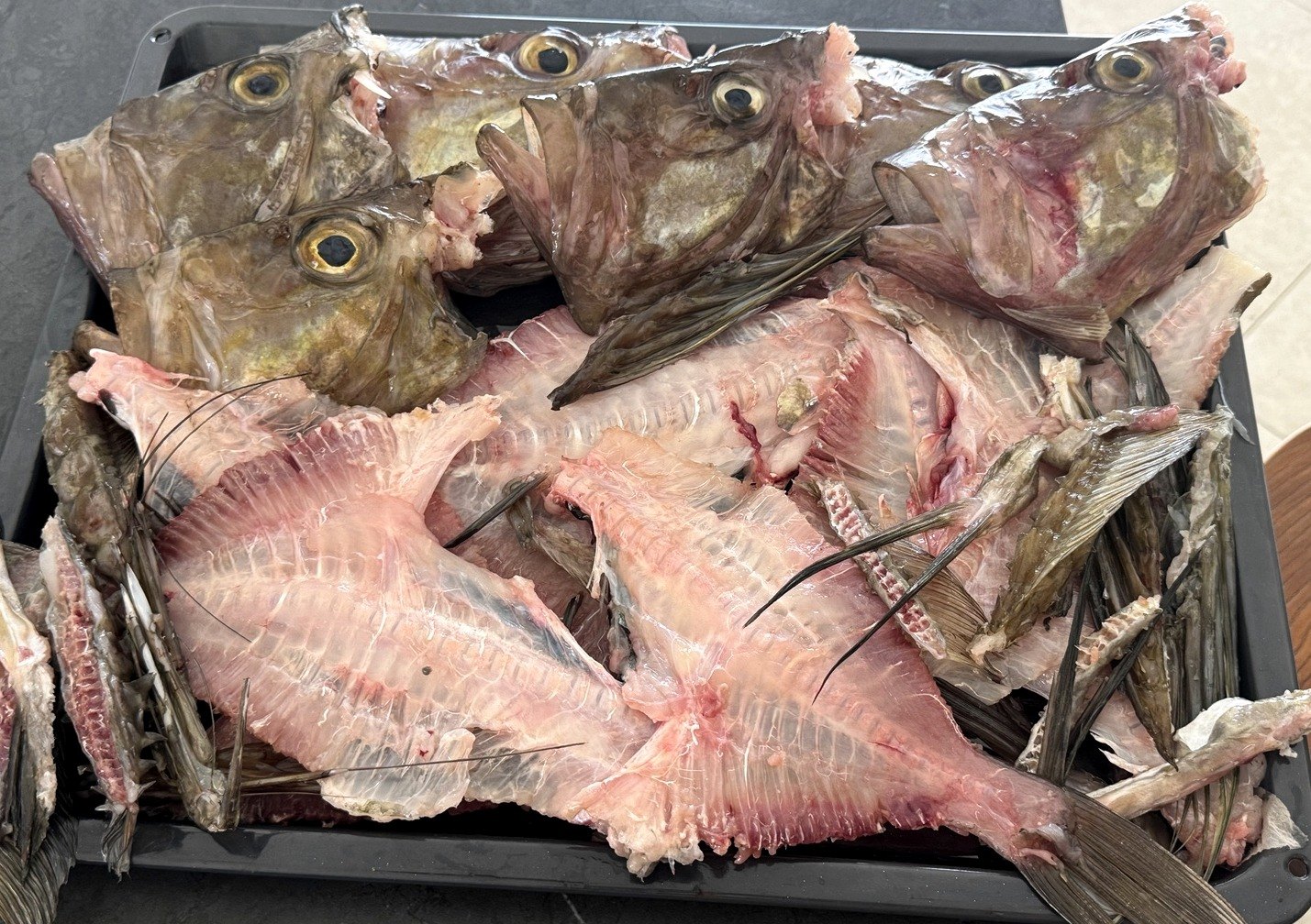 Fish heads and bones reserved for brown stock
