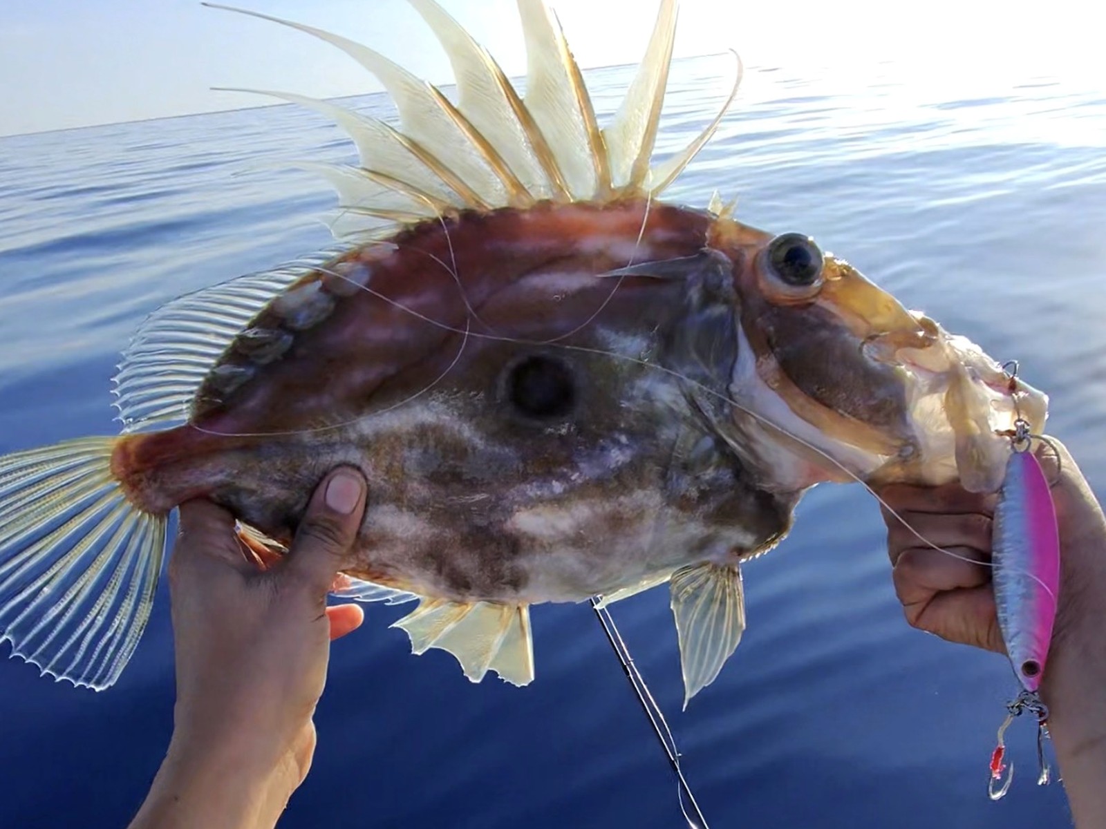 Hands holding the catch